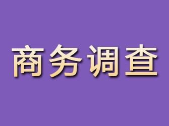 石泉商务调查